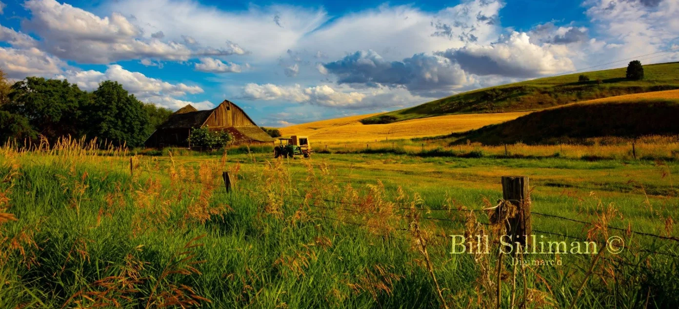 Bill Silliman